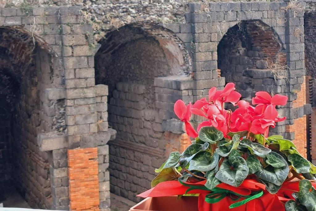 Appartamento Odeonhouse - Catania - Parking Included Esterno foto